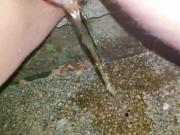 Pissing On Steps
