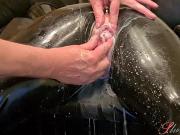 Slave Slut-Orgasma Celeste in Latex stretched holes, enema