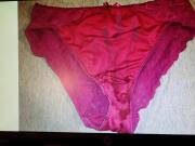 Tributing Seelee's Mrs' Knickers