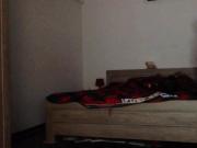 shy tranny escort fucked