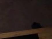 Spunk on the table