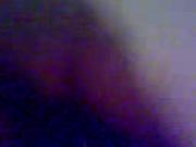 pleven