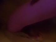 Tribute 1