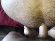 Fucking and inseminate a hairy fuckhole