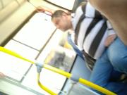 Urso maludo no onibus