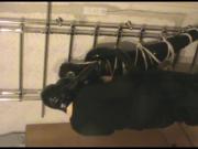 Play in the rubber - 4