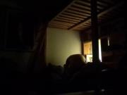 shadow of the night
