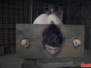 BDSM sub dominated in pillory before group
