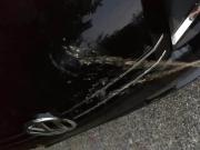 Auf die Motorhaube gepisst