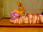 Ultra tight hogtie