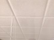Shower Fun II