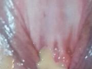 Tribute to a sexy Pussy