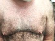 Public Show