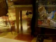 heels at store