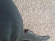 my socks