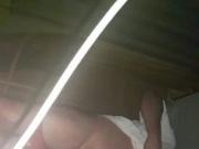 Penis