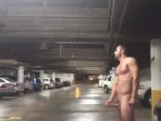 HORNY PARKING