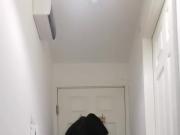 Dog dare