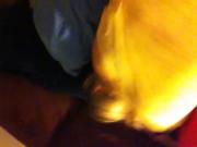 Penis glans
