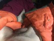 A hungry pet catcosplay