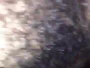killi ibneler sikisiyor