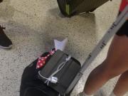 Sexy Teenage Legs at airport