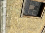 Thick booty slut with glasses close up