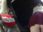 Exhibits in car dealership 5