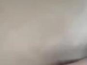 Pussy