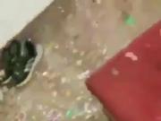 Blowjob