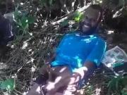 Wadru in the forest