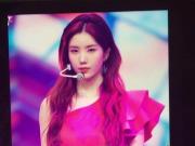 Izone Eunbi cum tribute 3