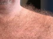 hairiest english bear