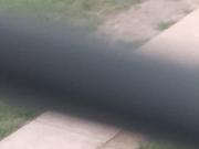 Old Thot Neighbor