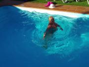 Lisa in the pool 2