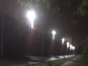 Surprise video