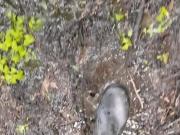 Muddy walk wearing rubber boots and worker gear