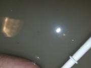 Toilet brush cleaning my ass