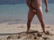 Bear cumming on the beach