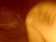Sepia Wank.