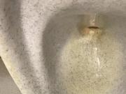 cruising & wanking in toilets