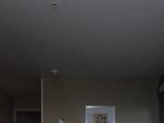 astrid gamino nude 8