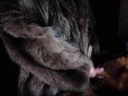 Quick Shot in Fur