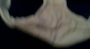 Cumming on friend's panties