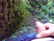 Urinate outdoor