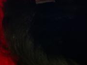 BBC Blowjob - Pigtails Yesss!
