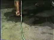 Vintage MILF Loop