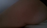 mi zorrita