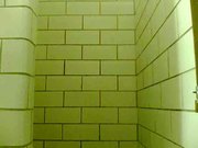 in the shower