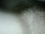 huge hairy bush under the sheets.